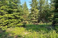 Undeveloped Land for sale in Stevens County, Washington