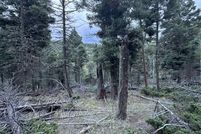 Undeveloped Land for sale in Colfax County, New Mexico