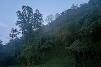 Property for sale in Breathitt County, Kentucky