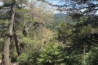 Property for sale in San Bernardino County, California