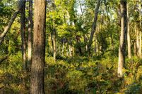 Property for sale in Jackson County, Wisconsin