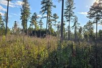 Undeveloped Land for sale in Brunswick County, Virginia