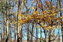 Property for sale in Monroe County, Pennsylvania