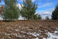 Undeveloped Land for sale in Osceola County, Michigan