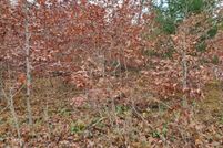 Property for sale in Lake County, Michigan