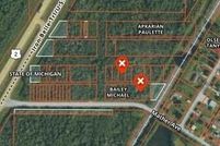 Property for sale in Delta County, Michigan