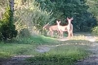 Property for sale in Ionia County, Michigan