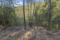 Undeveloped Land for sale in Lee County, Kentucky
