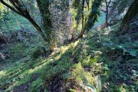 Property for sale in Marin County, California