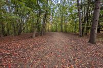 Undeveloped Land for sale in Mason County, Michigan