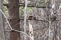 Property for sale in Saint Lawrence County, New York