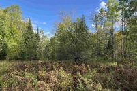 Undeveloped Land for sale in Forest County, Wisconsin