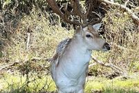 Property for sale in Falls County, Texas