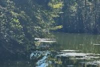 Lakefront Property for sale in Calhoun County, South Carolina