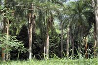 Property for sale in Kauai County, Hawaii