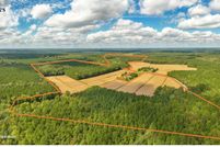 Undeveloped Land for sale in Wicomico County, Maryland