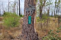 Property for sale in Butte County, California