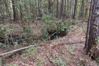 Property for sale in Tangipahoa Parish, Louisiana