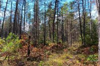 Property for sale in Lake County, Michigan