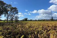 Undeveloped Land for sale in Sonoma County, California