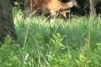 Property for sale in Kaufman County, Texas