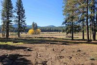 Property for sale in Boise County, Idaho