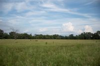 Undeveloped Land for sale in Houston County, Texas