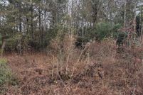 Undeveloped Land for sale in Montgomery County, Texas