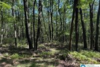 Property for sale in Carbon County, Pennsylvania