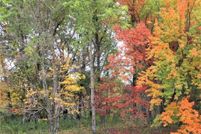 Property for sale in Polk County, Wisconsin