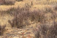 Property for sale in Riverside County, California