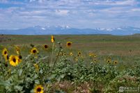 Property for sale in Weld County, Colorado