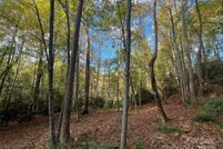 Property for sale in Buncombe County, North Carolina
