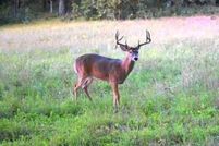 Property for sale in Waushara County, Wisconsin