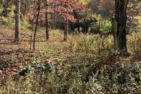 Undeveloped Land for sale in Watauga County, North Carolina