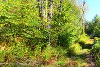 Undeveloped Land for sale in Susquehanna County, Pennsylvania