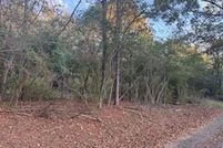 Undeveloped Land for sale in Walker County, Alabama