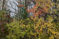 Property for sale in Waldo County, Maine