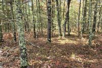 Property for sale in Newaygo County, Michigan