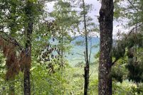 Undeveloped Land for sale in Fannin County, Georgia