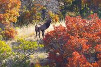 Property for sale in Delta County, Colorado