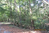 Undeveloped Land for sale in Trigg County, Kentucky
