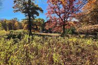 Undeveloped Land for sale in Midland County, Michigan