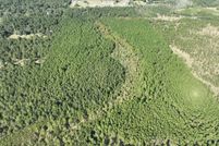 Undeveloped Land for sale in Beauregard Parish, Louisiana