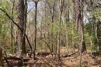 Lakefront Property for sale in Tallapoosa County, Alabama