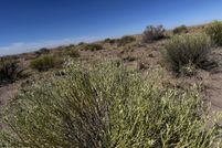 Property for sale in Navajo County, Arizona