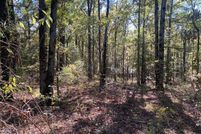 Undeveloped Land for sale in Lamar County, Alabama