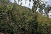 Undeveloped Land for sale in Sevier County, Tennessee