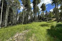 Undeveloped Land for sale in Colfax County, New Mexico