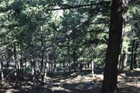 Undeveloped Land for sale in Jefferson County, Colorado